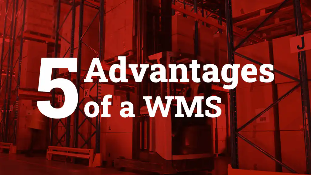 Vorteile WMS en