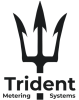 Trident logo